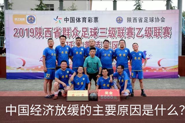 中国经济放缓的主要原因是什么？