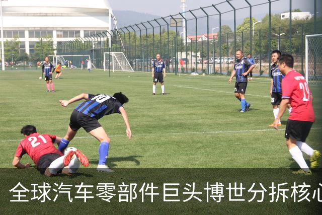 全球汽车零部件巨头博世分拆核心业务 回应称中国市场不受影响
