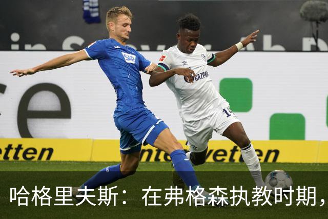 哈格里夫斯：在弗格森执教时期，如果B费质疑战术将再也无法出场