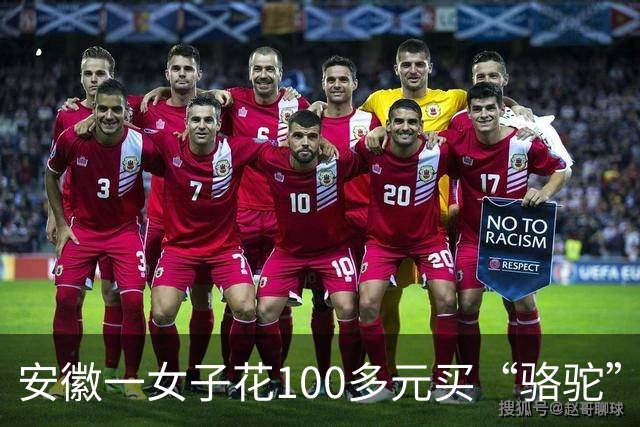 安徽一女子花100多元买“骆驼”冲锋衣，收到货一看，logo竟是一头咧着嘴笑的驴！有人质疑这是擦边，商家：商标已注册，不要只看图片外观
