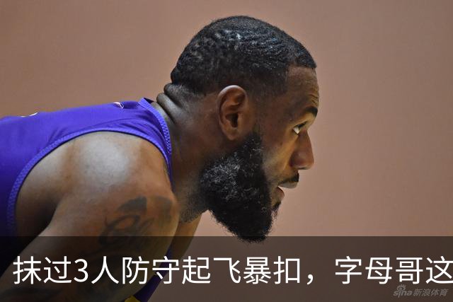 抹过3人防守起飞暴扣，字母哥这一球打停老鹰