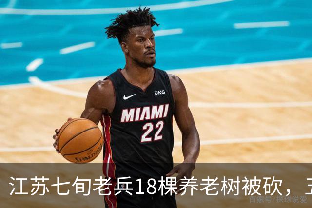 江苏七旬老兵18棵养老树被砍，五次赴省反映后被送派出所