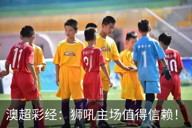 澳超彩经：狮吼主场值得信赖！