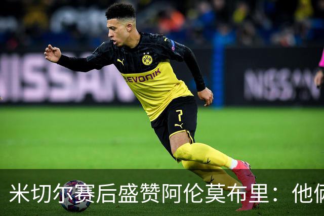 米切尔赛后盛赞阿伦莫布里：他俩统治了内线