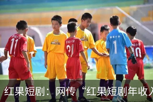 红果短剧：网传“红果短剧年收入400亿”等为不实信息