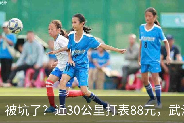 被坑了？近30公里打表88元，武汉乘客晒打车发票，对比网约车不到40元，网友：其实不是出租车贵，是网约车太卷