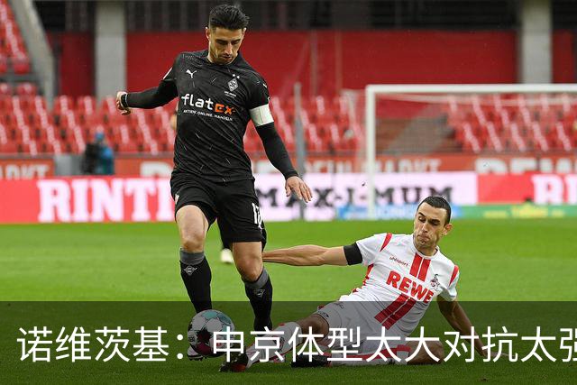 诺维茨基：申京体型太大对抗太强，马刺让他太轻松进篮下
