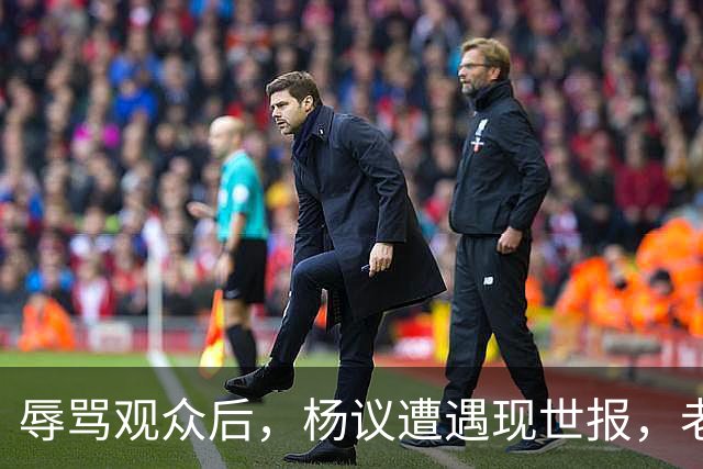 辱骂观众后，杨议遭遇现世报，老赖身份被扒，官方介入，演出下架
