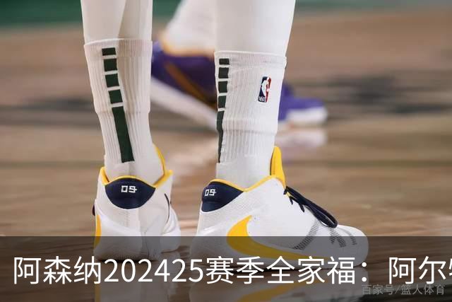 阿森纳2024/25赛季全家福：阿尔特塔&厄德高坐C位