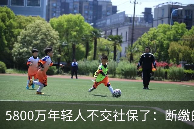 5800万年轻人不交社保了：断缴的不是懒惰，是生存的算术